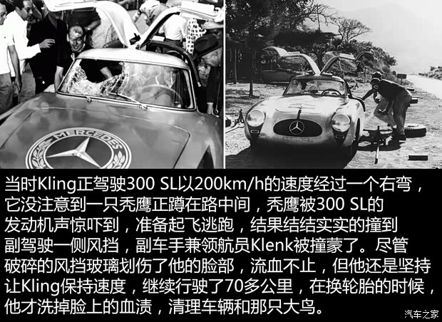奔馳(進口) 奔馳SL級 1954款 300SL Gullwing