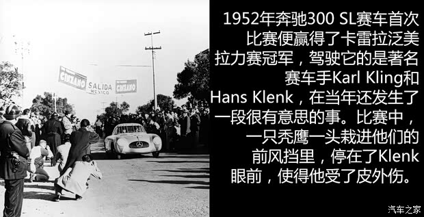 奔馳(進口) 奔馳SL級 1954款 300SL Gullwing