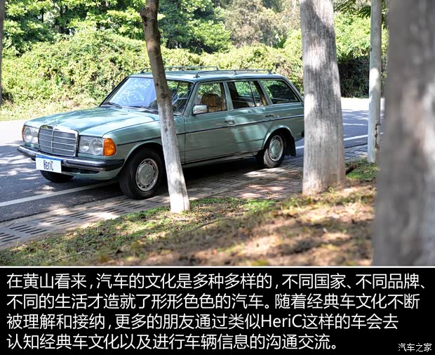 奔驰(进口) 奔驰E级(进口) 1980款 230TE