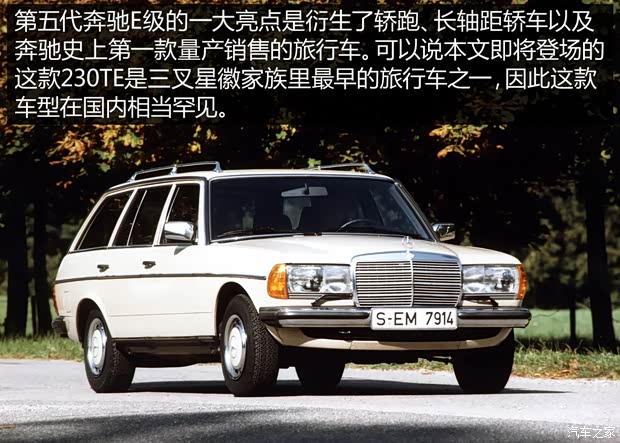 奔馳(進(jìn)口) 奔馳E級(jí)(進(jìn)口) 1980款 230TE