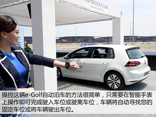 大眾(進(jìn)口) 高爾夫(進(jìn)口) 2015款 電動(dòng)版