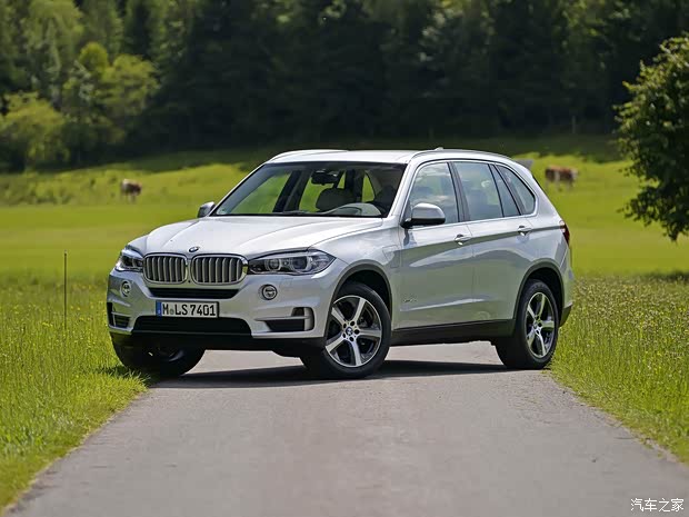 寶馬(進口) 寶馬X5 2016款 xDrive40e