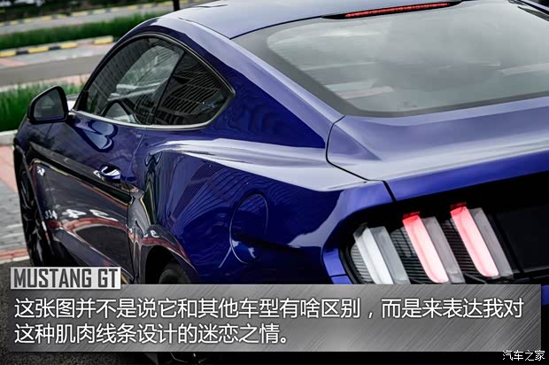 福特(進(jìn)口) 野馬 2015款 5.0L GT 性能版