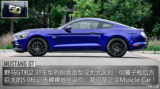 福特(進(jìn)口) 野馬 2015款 5.0L GT 性能版