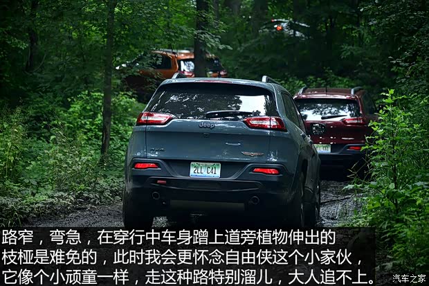 Jeep(进口) 自由光(进口) 2014款 3.2L 高性能版