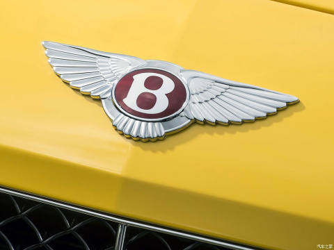2015 4.0T GT V8 S ׼