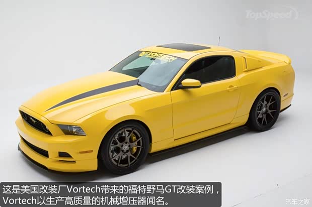 福特福特(进口)野马2013款 5.0L GT手动标准型