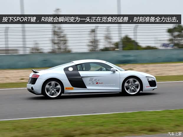 奥迪奥迪(进口)奥迪R82014款 基本型