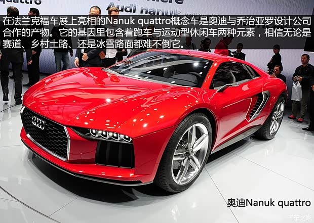 奥迪奥迪(进口)Nanuk2013款 概念版 奥迪奥迪(进口)Nanuk2013款 概念版