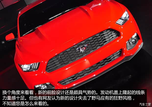 福特福特(進(jìn)口)野馬2014款 基本型