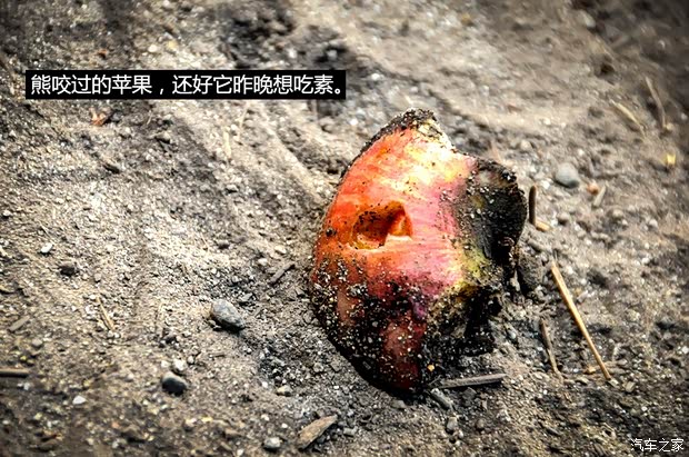 JeepJeep牧马人2013款 3.6L 十周年纪念版 罗宾汉