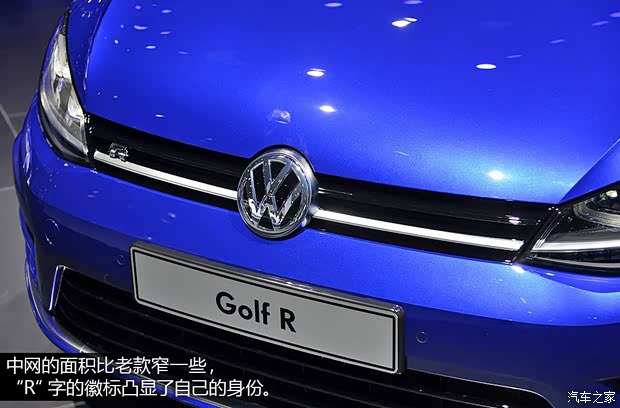 大眾大眾(進口)高爾夫(進口)2013款 R