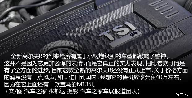 大众大众(进口)高尔夫(进口)2013款 R