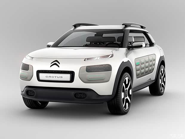 雪鐵龍雪鐵龍(進(jìn)口)Cactus2013款 concept