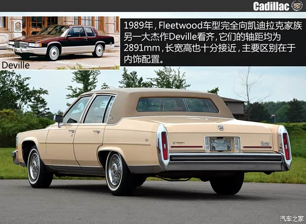 凱迪拉克凱迪拉克(進口)弗雷特伍德1993款 基本型