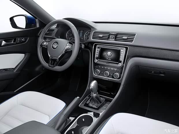 大眾大眾(進口)Passat2014款 BlueMotion