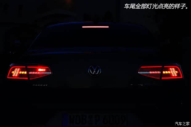 大众(进口) Passat 2015款 TDI BlueMotion