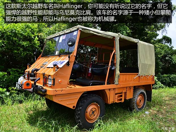 斯太尔 Haflinger 1974款 基本型 斯太尔 Haflinger 1974款 基本型