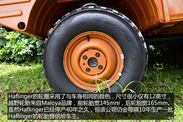 斯太尔 Haflinger 1974款 基本型 斯太尔 Haflinger 1974款 基本型