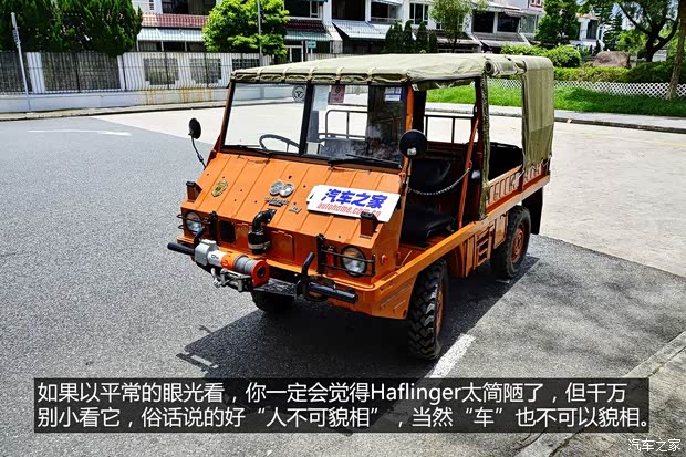 斯太尔 Haflinger 1974款 基本型 斯太尔 Haflinger 1974款 基本型