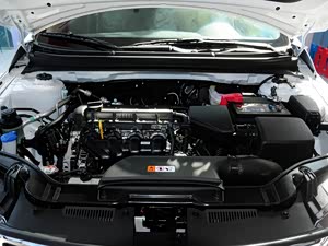 福瑞迪2014款 1.6L MT GLS