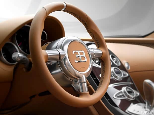 布加迪布加迪威航2014款 Rembrandt Bugatti