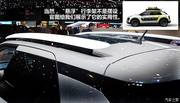 雪鐵龍雪鐵龍(進(jìn)口)Cactus2014款 基本型