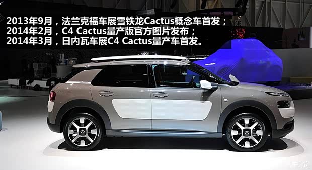 雪鐵龍雪鐵龍(進(jìn)口)Cactus2014款 基本型