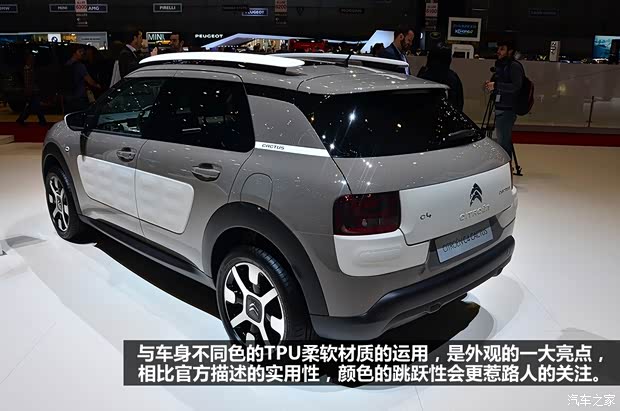 雪鐵龍雪鐵龍(進(jìn)口)Cactus2014款 基本型