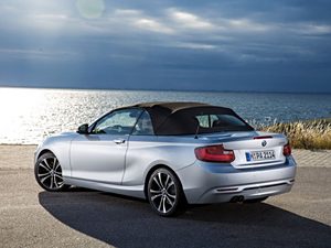 R(M(jn)) R2ϵ 2015 228i Convertible