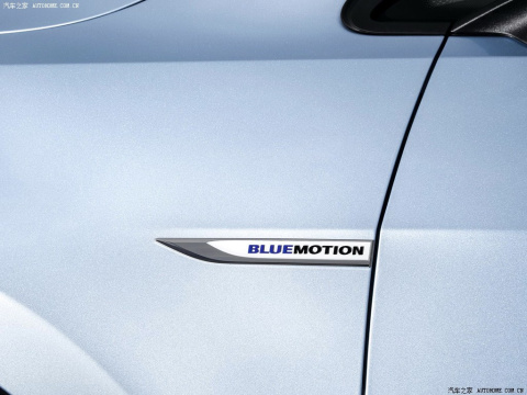 2013 TDI BlueMotion