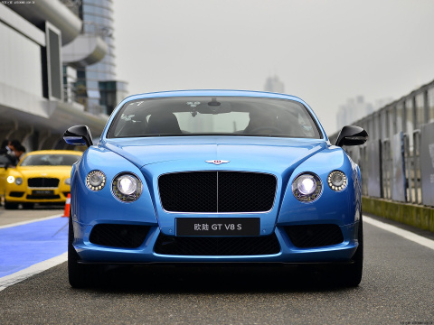 2014 4.0T GT V8 S ׼