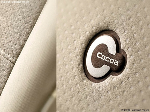 2009 Cocoa