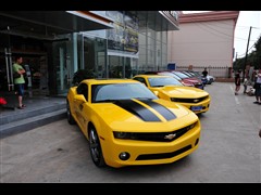 Camaro޻ͼƬ