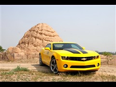 Camaro޻ͼƬ