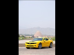 Camaro޻ͼƬ