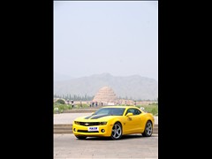 Camaro޻ͼƬ