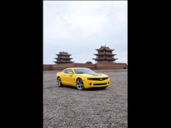 Camaro޻ͼƬ