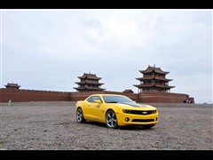 Camaro޻ͼƬ