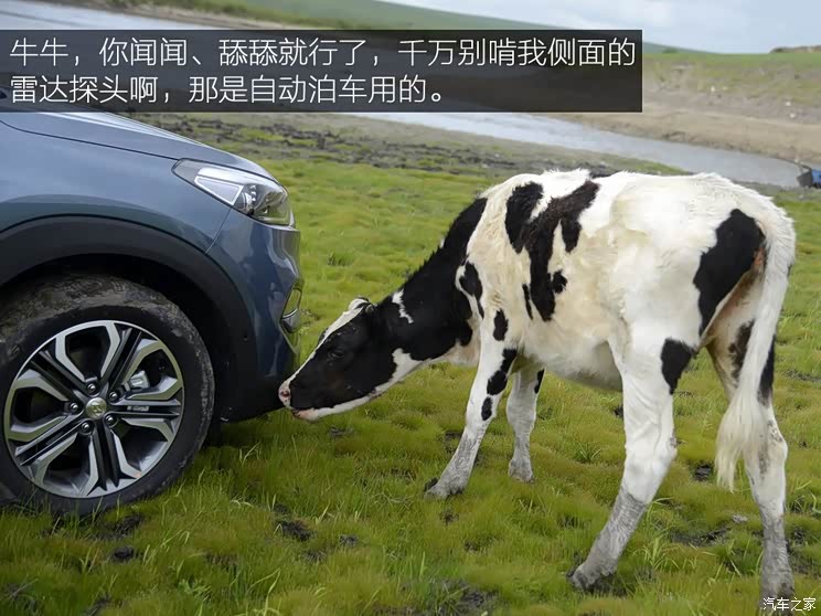 北京现代 途胜 2015款 1.6T TOP DCT 4WD 北京现代 途胜 2015款 1.6T TOP DCT 4WD