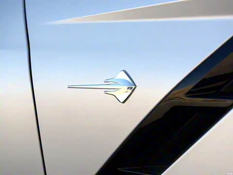 2014�� C7 Stingray Coupe