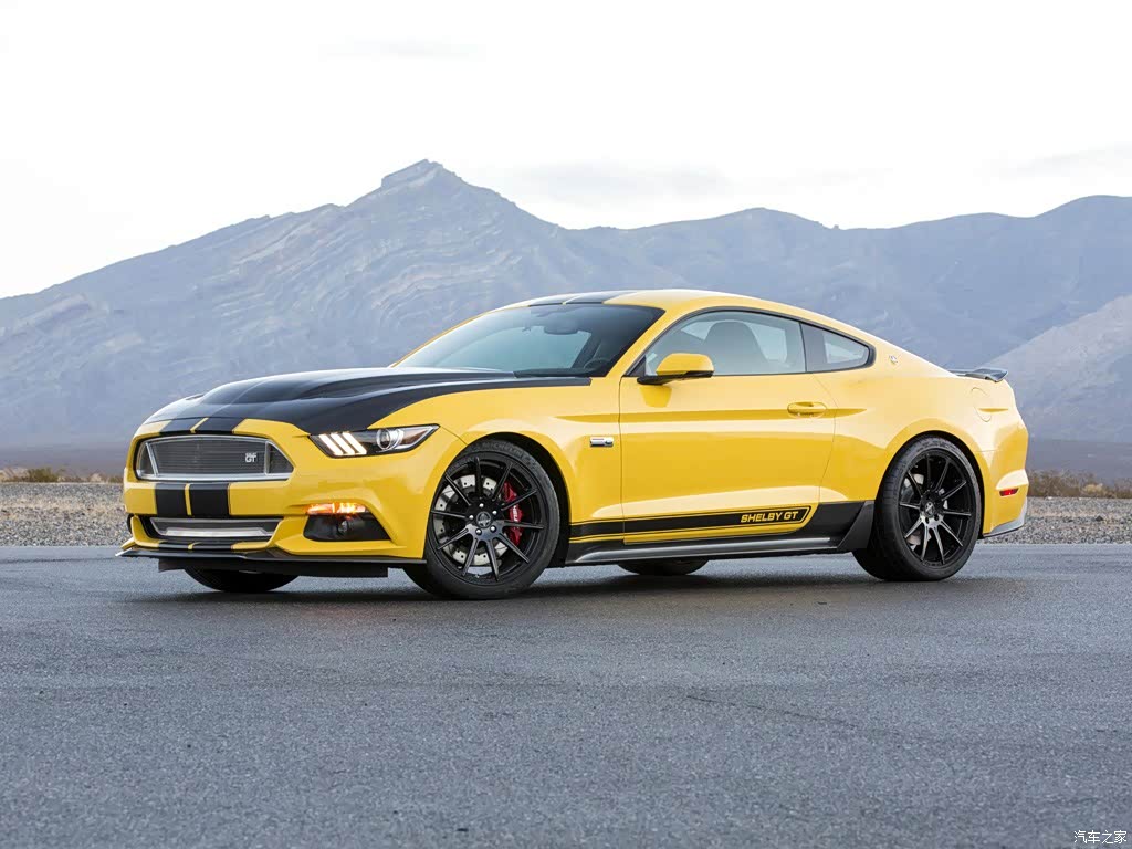 2015款 shelby gt