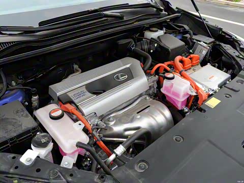 2015�� 300h ȫ�� ��â��