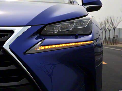 2015�� 300h ȫ�� ��â��