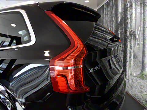 2015�� T6 ������