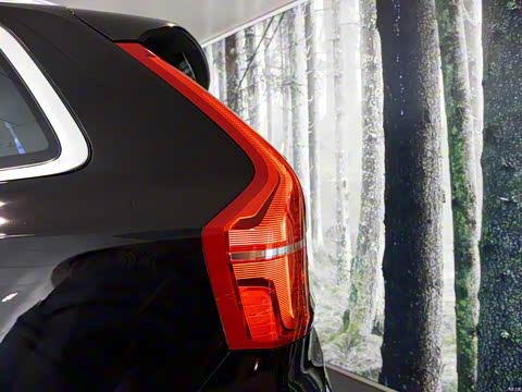 2015�� T6 ������