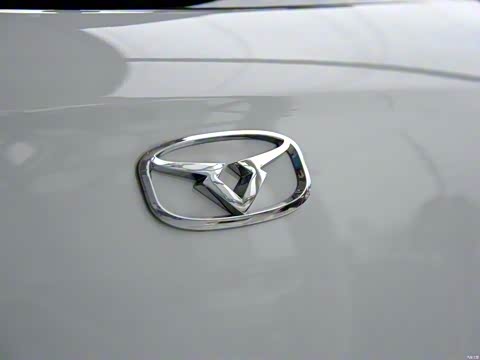 2015�� 1.5L �ֶ������