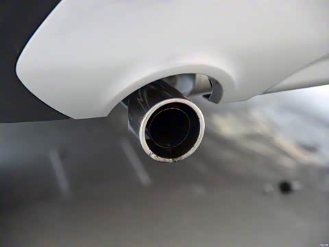 2015�� 2.0L GTDi �����˶���