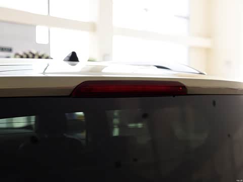 2015�� 2.0L GTDi �����˶���