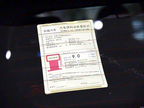 2015�� 1.5T �Զ���������